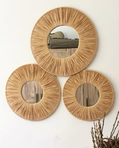 three circular mirrors hanging on the wall next to a vase with dried flowers in it