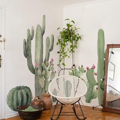 a room filled with lots of green plants next to a mirror and potted plant