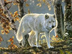 a painting of a white wolf standing on a log in the woods next to water