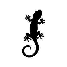 a lizard silhouetted on a white background