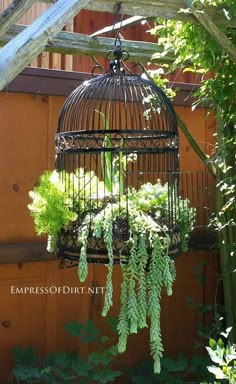 a bird cage with plants hanging from it