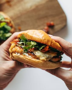 a person holding a sandwich with meat and veggies on it in their hands