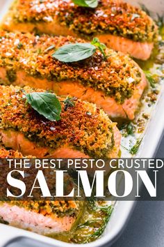 the best pesto crusted salmon recipe