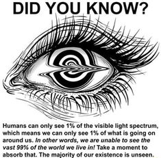 an eye with the words did you know? and it says, humans can only see 1 % of the visible light