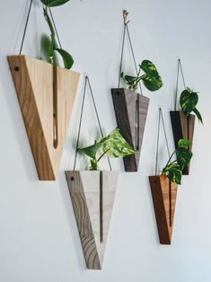 three wooden planters hanging on the wall with plants in them and one is holding a green plant