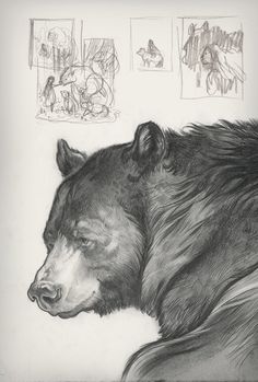 a black and white drawing of a bear sleeping on the ground with other drawings behind it