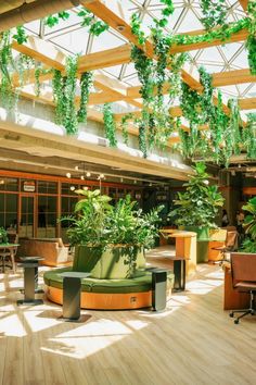 an indoor area with plants and couches in the center, surrounded by wooden flooring