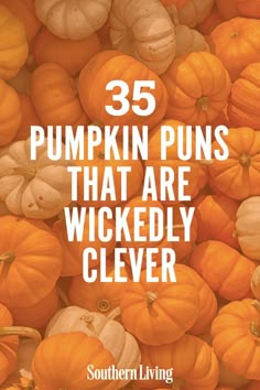 pumpkins with the words, 35 pumpkin puns that are wildly cleverly clever