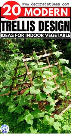 the cover of 20 modern trellis design ideas for indoor vegetable gardens by decor times