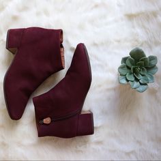 Suede Leather, Block Heel Booties In A Gorgeous Maroon. Super Comfy Insole And Heel. Round Toe. Light Marks Or Scuffs On The Toes, Heels, And Lower Shoe, Could Easily Be Buffed With Correct Tools. Stains On Inside. Kenneth Cole Shoes, Kenneth Cole, Suede Leather, Block Heels, Bootie Boots, Ankle Boots, Women Shoes, Tools, Heels