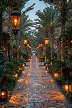 an outdoor walkway lined with palm trees and lit up lanterns in the middle of it