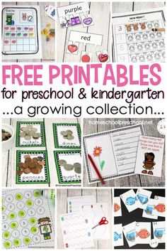 the free printables for preschool and kindergartian growing collection are great for learning