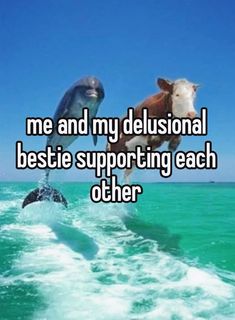 a dog jumping out of the water on top of a surfboard with words that says me and my delusional bestie supporting each other