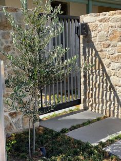 an olive tree in front of a stone building with a black gate and metal railing