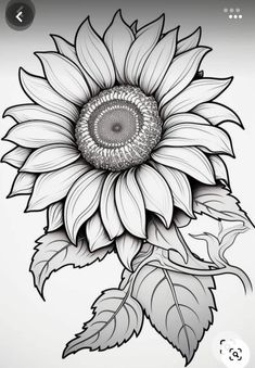 a drawing of a sunflower with leaves on it's back and an eye in the center