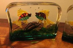 two goldfish in a fish bowl on a table