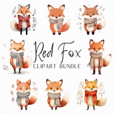 the red fox clipart bundle