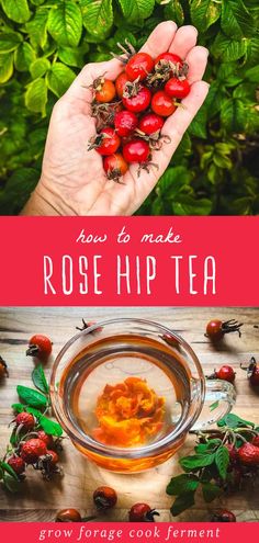 how to make rose hip tea