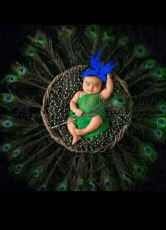 a baby wearing a green dress and blue headband laying in a basket with peacock feathers