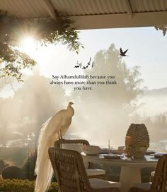 a white bird sitting on top of a table next to a chair and vases