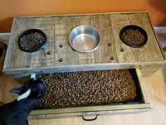 a dog standing next to a wooden table with two bowls on it and one cat eating food out of the same bowl