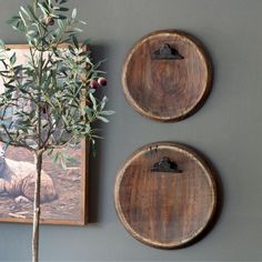 two wooden plates mounted to the wall with olives on them and an olive tree