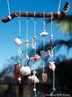 a wind chime hanging from a tree branch with shells and seashells on it