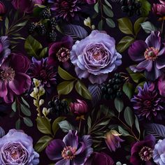 purple flowers and leaves on a black background