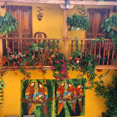 the balcony is decorated with colorful flowers and parrots on it's windowsill