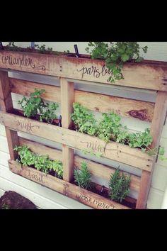 an old wooden pallet is filled with plants and herbs to make a herb garden