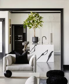 a living room filled with furniture and a potted plant