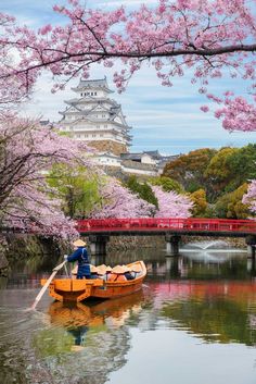 a small boat floating on top of a river next to a bridge with cherry blossom trees