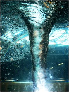 an image of a person standing under water