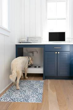 a dog standing in front of a kitchen sink under a computer monitor on top of a desk