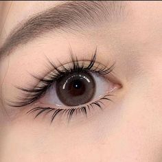 Vision Bored, Bentuk Alis, Eyelash Lift, Asian Eyes, Asian Eye Makeup, Magnetic Eyelashes