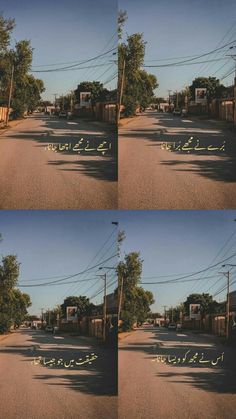 multiple shots of the same street in different directions, with trees and telephone poles on either side