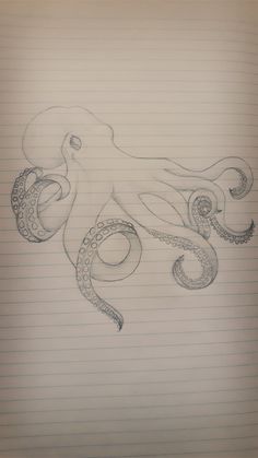 an octopus drawn in pencil on lined paper