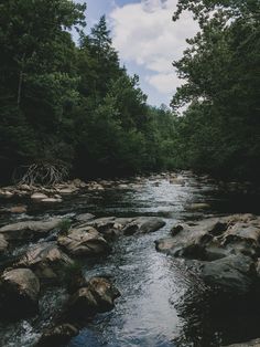 a river running through a forest filled with lots of rocks and trees in the background