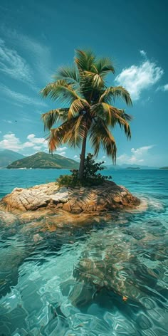 a palm tree sitting on top of an island in the middle of the ocean with clear blue water