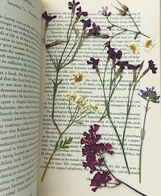 an open book with wildflowers on top of it and the pages in english