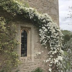 an old stone building with white flowers growing on it's side and a window in the wall