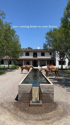 horses drinking water from a fountain in front of a house with the words pov coming home to your horses