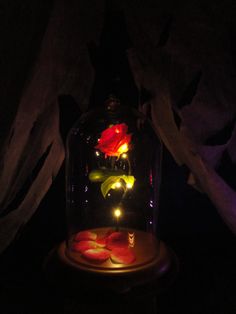 a flower in a glass jar with lights inside