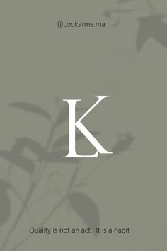 the letter k is shown in white on a gray background with leaves and branches behind it