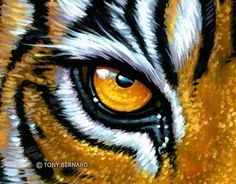 the tiger's eye is painted with acrylic paint on paper and it looks like he has yellow eyes