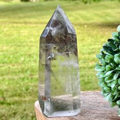 Garden Quartz Statement Tower with Pink Garden , Brazilian Scenic Quartz Point , Inclusion Quartz Crystal , AAA Grade Crystals Jewellery Shop Design, Gemstone List, Mossy Green, Garden Quartz, Carnelian Crystal, Fancy Lights, Trace Minerals, Pink Garden, Phantom Quartz