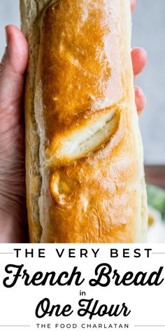 the very best french bread in one hour