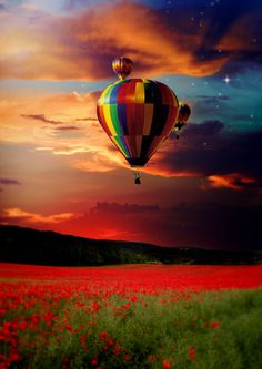 a colorful hot air balloon flying in the sky over a field with poppies at sunset