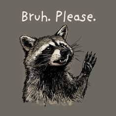 a raccoon with its hand up and the words, brush please on it