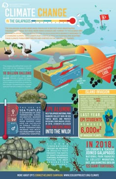 Infographic Canva Design, Poster Design Informative, Nature Infographic, Poster Title Design, Informative Poster Design, Research Poster Design, Infographic Poster Design, Scientific Poster Design, Ecology Projects